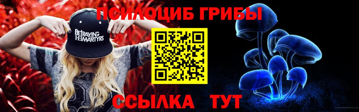 Канск  Псилоцибиновые грибы Magic Shrooms  Галлюциногенные грибы Cubensis  Вход с VPN 